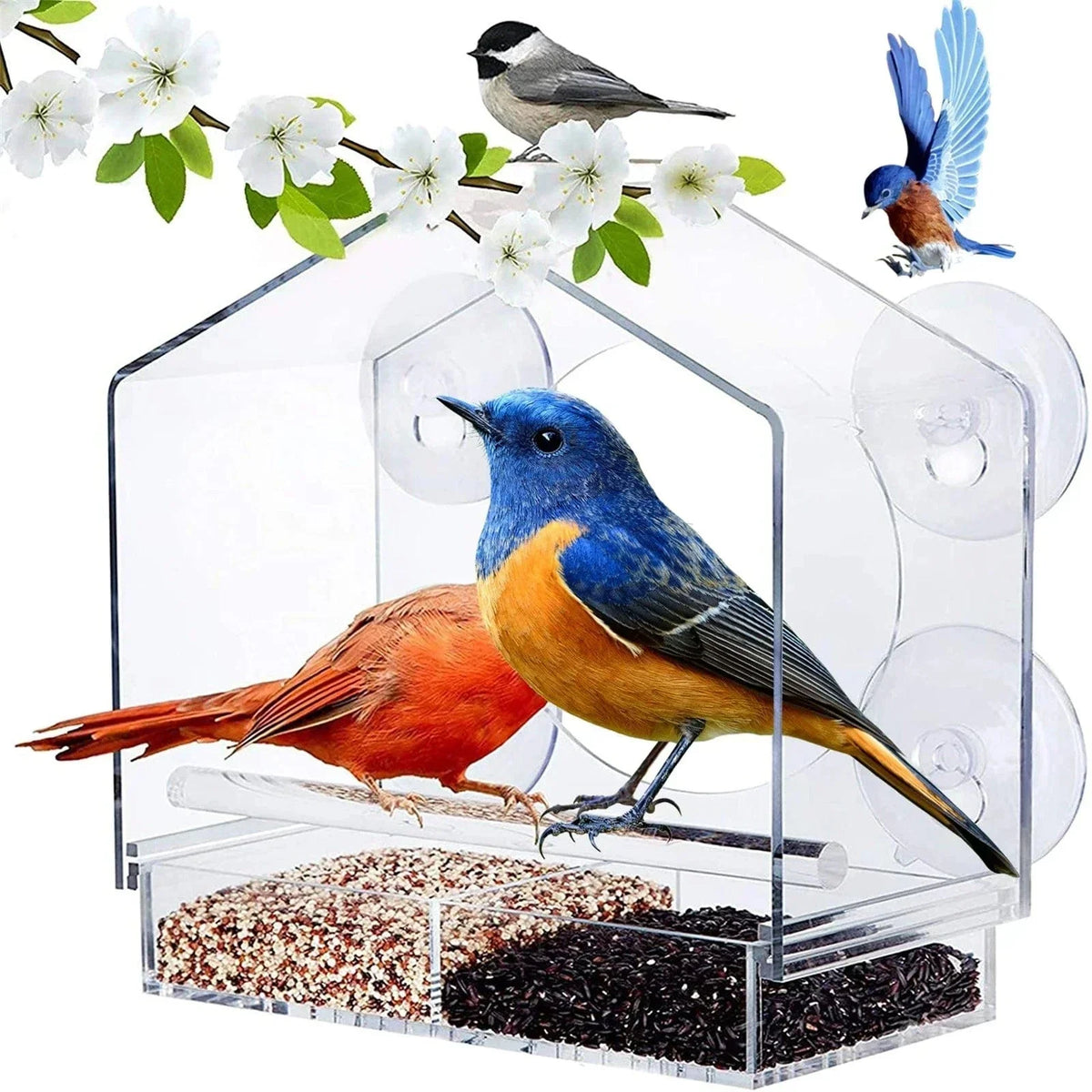 CrystalView Window Bird Feeder 2